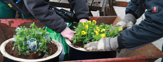 To mennesker planter en blomst i en krukke